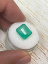 6.13 Carat 11.5x10.3 Earthy Pastel Green Natural Loose Colombian Emerald- Emerald Cut