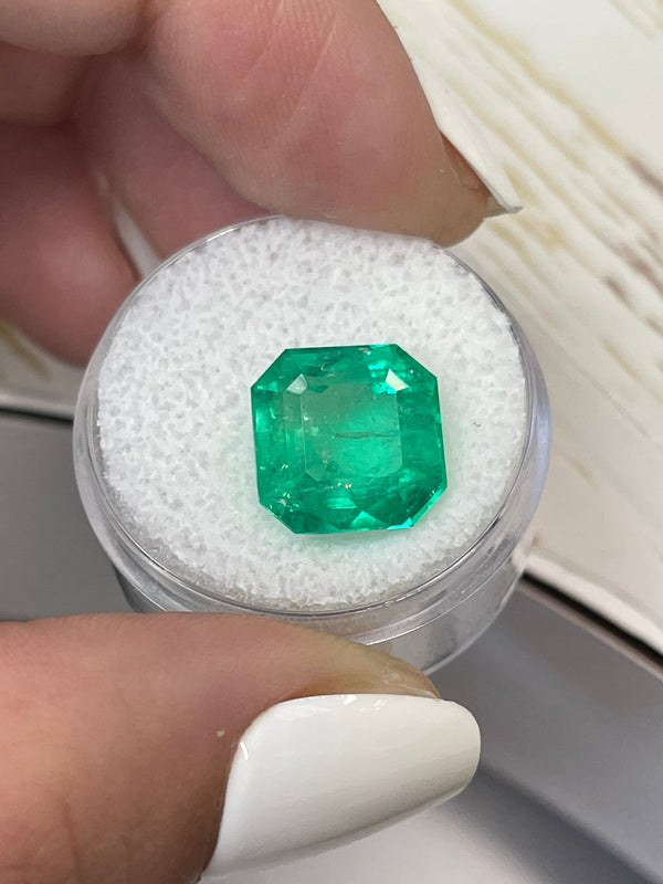 7.41 Carat 11.5x11.5 Vivid Muzo Green Natural Loose Colombian Emerald-Asscher Cut