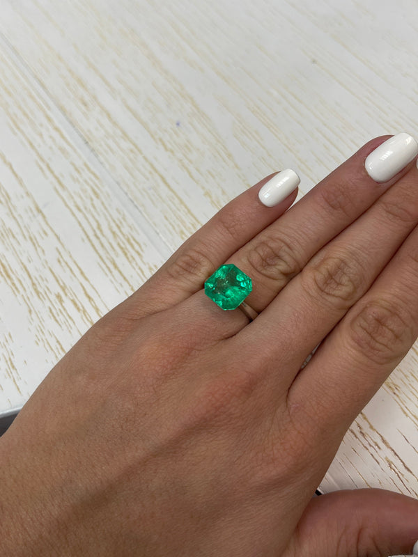7.41 Carat 11.5x11.5 Vivid Muzo Green Natural Loose Colombian Emerald-Asscher Cut