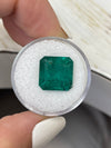 Large 10.01 Carat 12.5x12.5 Vivid Dark Green Natural Loose Zambian Emerald-Asscher Cut