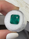 Large 10.01 Carat 12.5x12.5 Vivid Dark Green Natural Loose Zambian Emerald-Asscher Cut