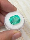 Large 11.90 Carat 15x12 Fine Natural Loose Colombian Emerald- Emerald Cut
