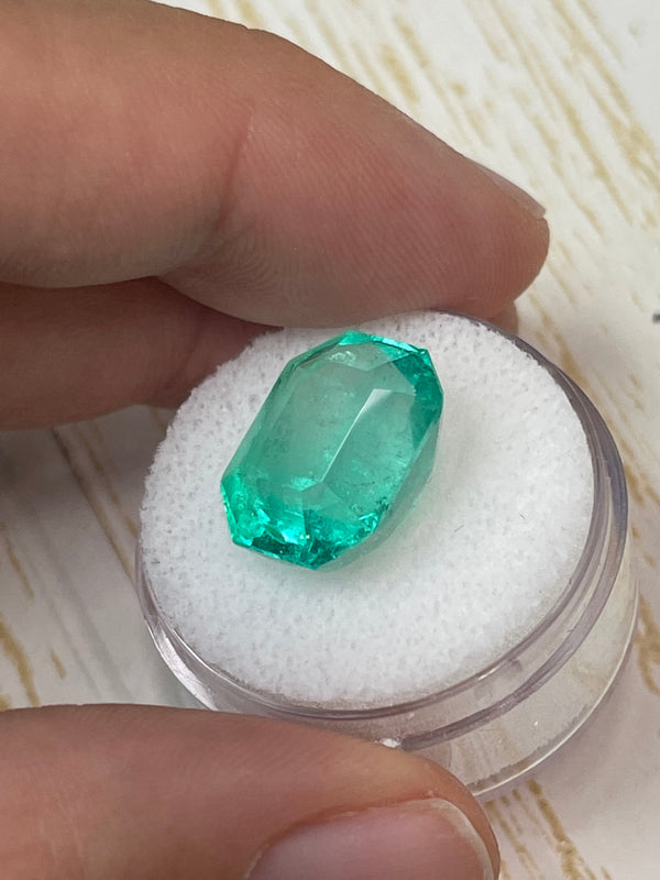 Large 11.90 Carat 15x12 Fine Natural Loose Colombian Emerald- Emerald Cut