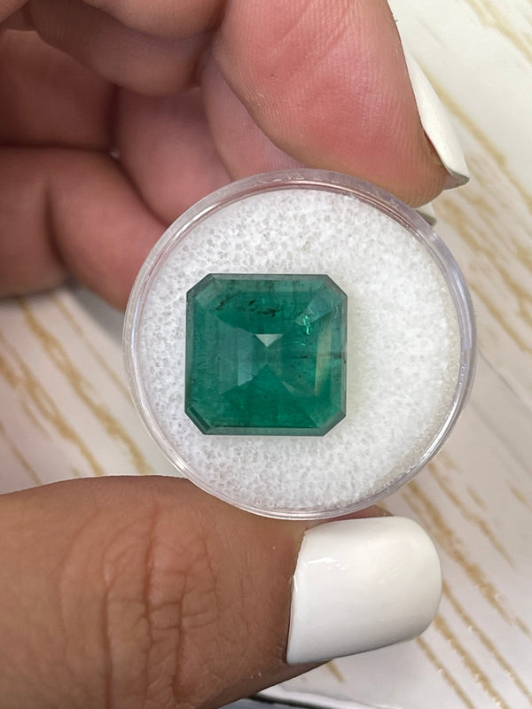 Large 10.02 Carat 13.5x13.5 Dark Green Natural Loose Zambian