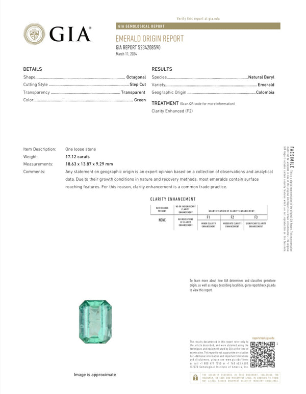 Large 17.12 Carat GIA CERTIFIED HUGE 19x14 Crystal Clear Classic Natural Loose Colombian Emerald- Emerald Cut