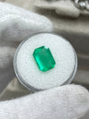 3.19 Carat 11x8 Yellowish Green Natural Loose Colombian Emerald-Emerald Cut