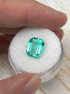 3.76 Carat 10.3x8.3 Transparent Green Natural Loose Colombian Emerald-Emerald Cut