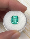 3.76 Carat 10.3x8.3 Transparent Green Natural Loose Colombian Emerald-Emerald Cut