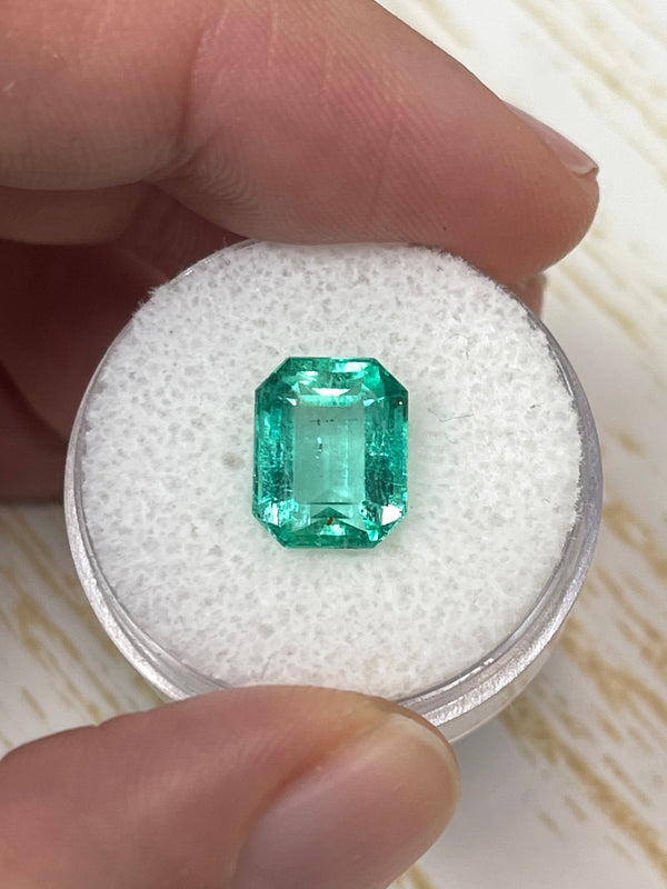 3.76 Carat 10.3x8.3 Transparent Green Natural Loose Colombian Emerald-Emerald Cut