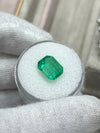 3.30 Carat 10.5x8.4 GLOWING Green Natural Loose Colombian Emerald-Emerald Cut