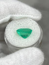 6.76 Carat 12x11.5 Glowing Green Natural Loose Colombian Emerald-Asscher Cut
