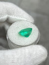 6.76 Carat 12x11.5 Glowing Green Natural Loose Colombian Emerald-Asscher Cut
