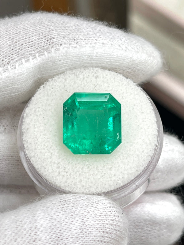 6.93 Carat 12x11.5 Medium Green Natural Loose Colombian Emerald- Asscher Cut
