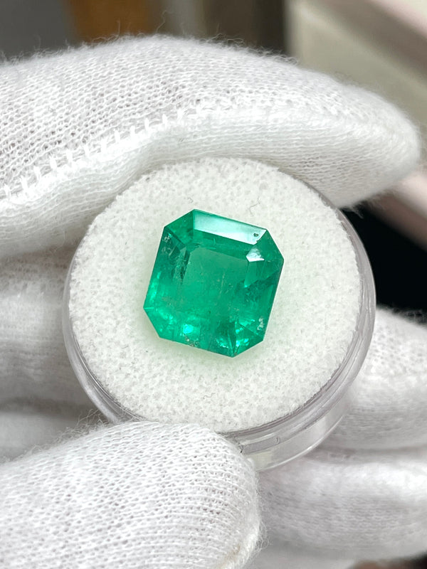 6.93 Carat 12x11.5 Medium Green Natural Loose Colombian Emerald- Asscher Cut