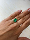 4.53 Carat 11x8 Vivid Muzo Green Natural Loose Colombian Emerald-Emerald Cut