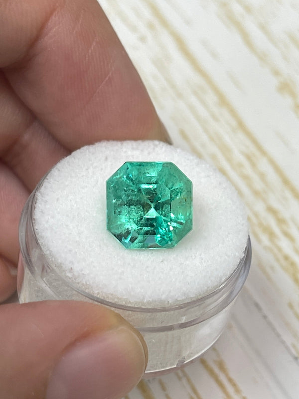 5.56 Carat 10.6x10.6 Spring Green Natural Loose Colombian Emerald-Asscher Cut