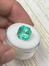5.56 Carat 10.6x10.6 Spring Green Natural Loose Colombian Emerald-Asscher Cut
