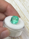 5.56 Carat 10.6x10.6 Spring Green Natural Loose Colombian Emerald-Asscher Cut
