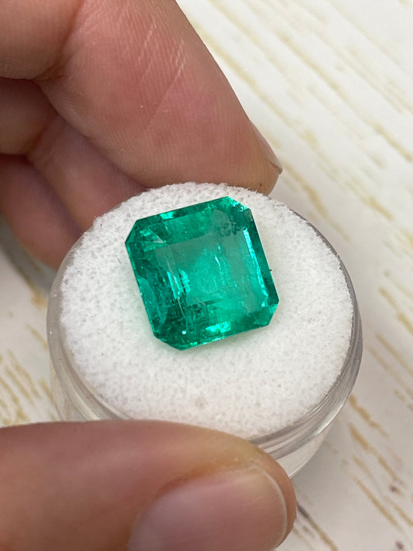 8.81 Carat 12.5x12.5 Glowing Green Natural Loose Colombian Emerald-Asscher Cut