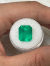 9.28 Carat 13x11 Yellowish Green Emerald Cut Loose Colombian Emerald-Emerald Cut