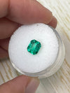 1.20 Carat 7x6 Yellowish Green Natural Loose Colombian Emerald- Emerald Cut