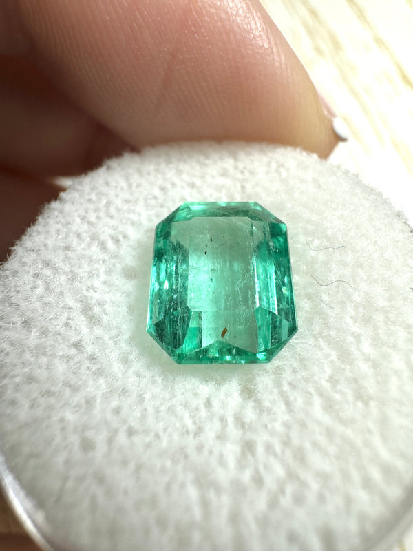 3.76 Carat 10.3x8.3 Transparent Green Natural Loose Colombian Emerald-Emerald Cut