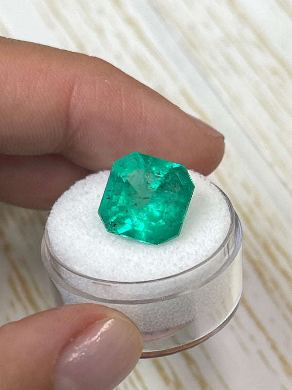 9.03 Carat 12.5x12.5 HUGE Green Natural Loose Colombian Emerald-Asscher Cut
