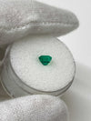 0.62 Carat 5x4 AAA+ Fine Loose Colombian Emerald-Emerald Cut