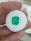 4.82 Carat 11x9 Gemmy Rich Green Natural Loose Colombian Emerald-Emerald Cut