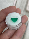 5.94 Carat 12x11 Deep Green Natural Loose Colombian Emerald- Emerald Cut