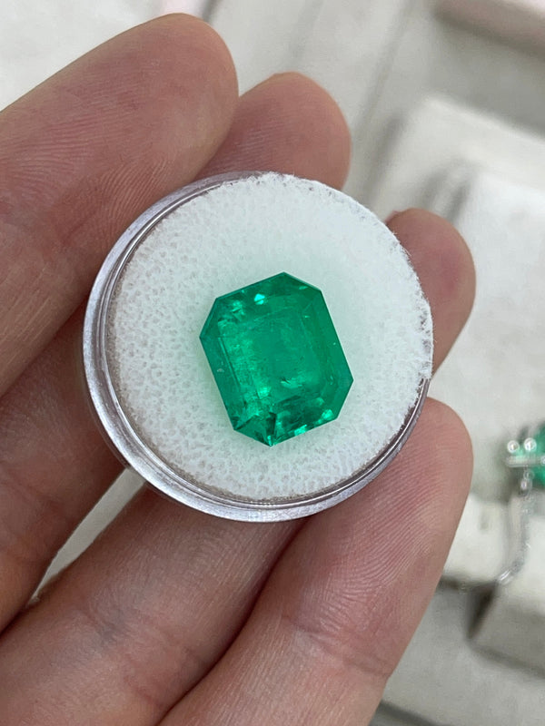 8.40 Carat 13x11 AAA+ Fine Loose Colombian Emerald-Emerald Cut