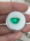 8.40 Carat 13x11 AAA+ Fine Loose Colombian Emerald-Emerald Cut