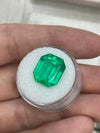 10.97 Carat 14.5x13 Muzo Deep Jungle Natural Loose Colombian Emerald-Emerald Cut
