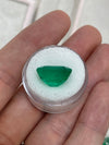13.04 Carat Large 15x14 AAA+ Loose Colombian Emerald- Emerald Cut