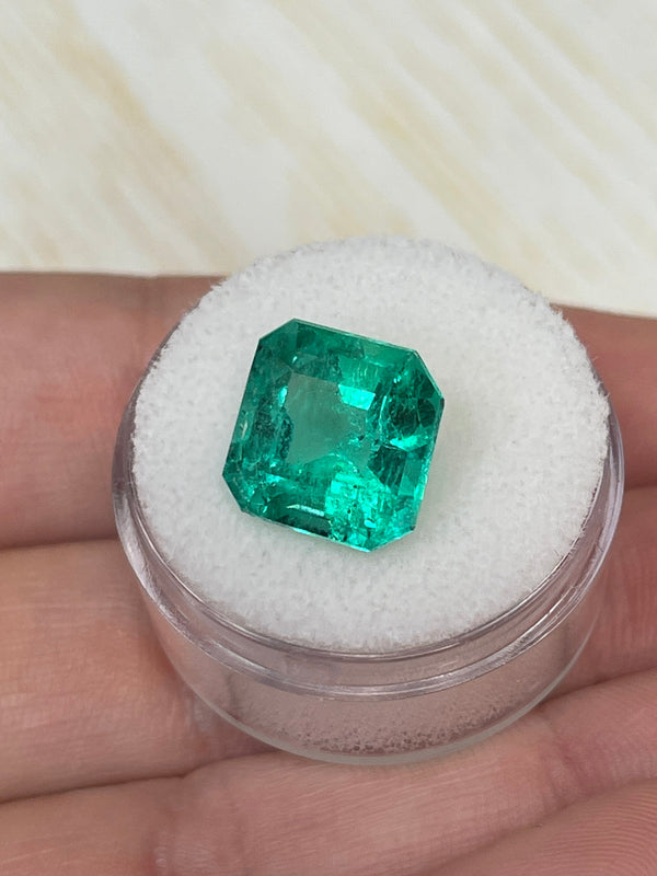 6.69 Carat 11.5x11.5 Vivid Muzo Green Natural Loose Colombian Emerald-Asscher Cut