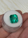 6.69 Carat 11.5x11.5 Vivid Muzo Green Natural Loose Colombian Emerald-Asscher Cut