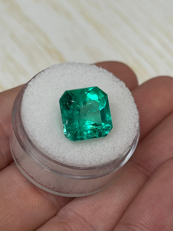 6.69 Carat 11.5x11.5 Vivid Muzo Green Natural Loose Colombian Emerald-Asscher Cut