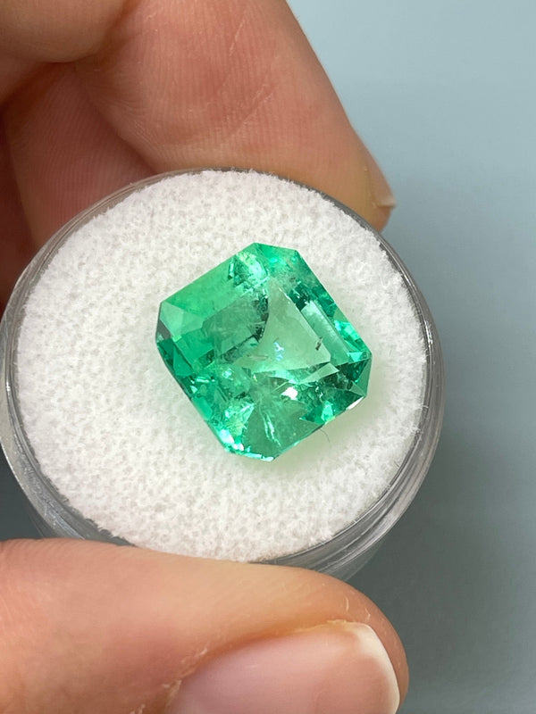 8.01 Carat 12.5x11.5 Lusterous Green Natural Loose Colombian Emerald-Asscher Cut