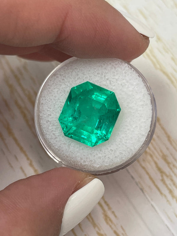 Large 10.09 Carat GIA CERTIFIED 14x13 Vivid Muzo Natural Loose Colombian Emerald-Asscher Cut