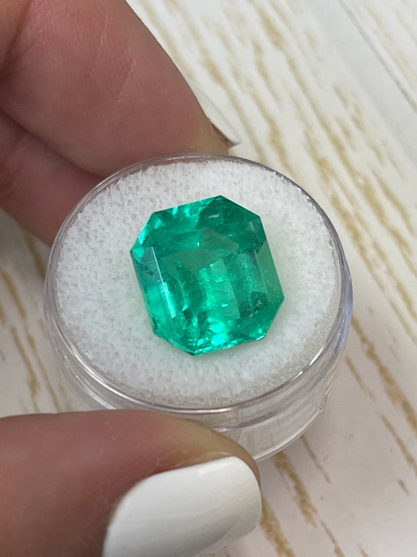 Large 10.81 Carat GIA Minor Oil 14x13 Vivid Muzo Natural Loose Colombian Emerald-Asscher Cut