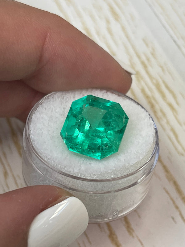 Large 10.81 Carat GIA Minor Oil 14x13 Vivid Muzo Natural Loose Colombian Emerald-Asscher Cut