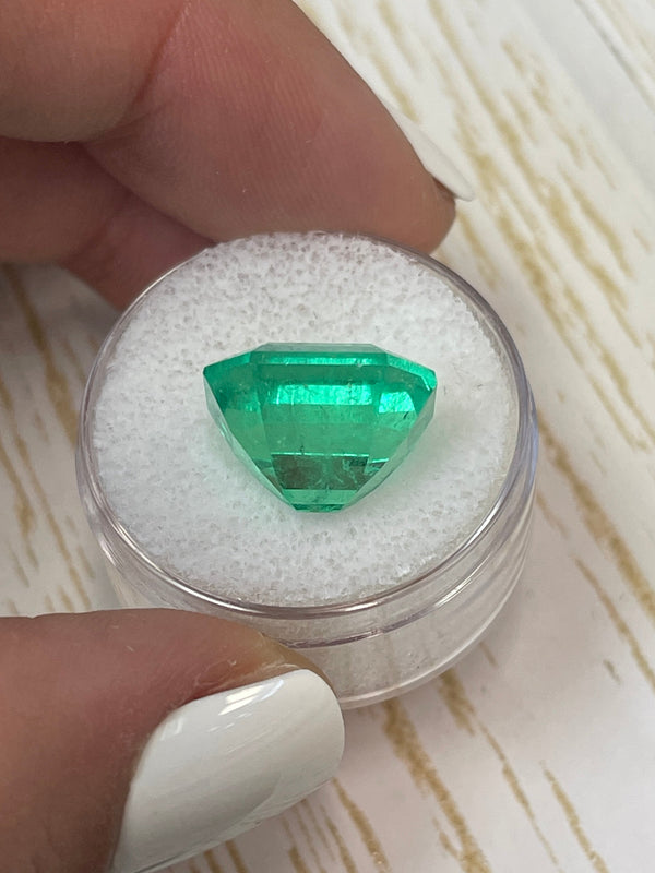 Large 10.81 Carat GIA Minor Oil 14x13 Vivid Muzo Natural Loose Colombian Emerald-Asscher Cut
