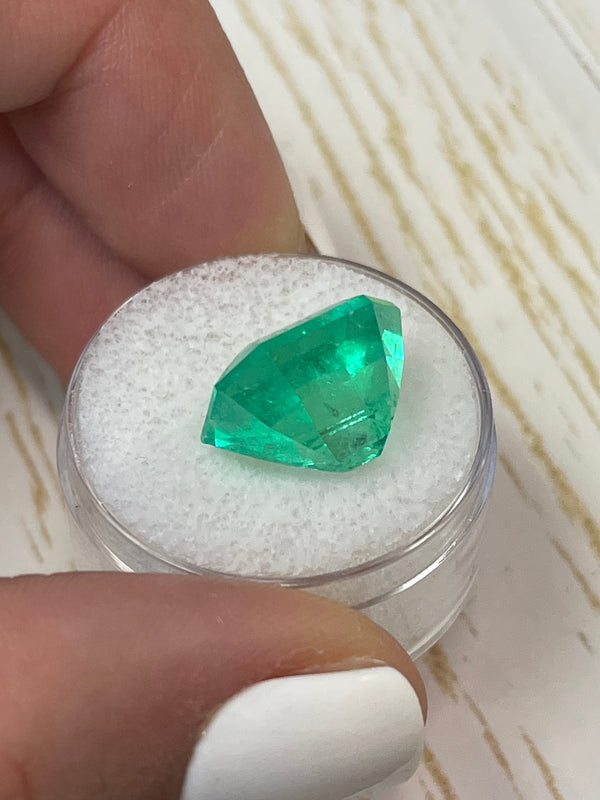 Large 10.81 Carat GIA Minor Oil 14x13 Vivid Muzo Natural Loose Colombian Emerald-Asscher Cut