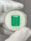 9.29 Carat 13x10 Earthy Medium Green Emerald Cut Loose Colombian Emerald-Emerald Cut