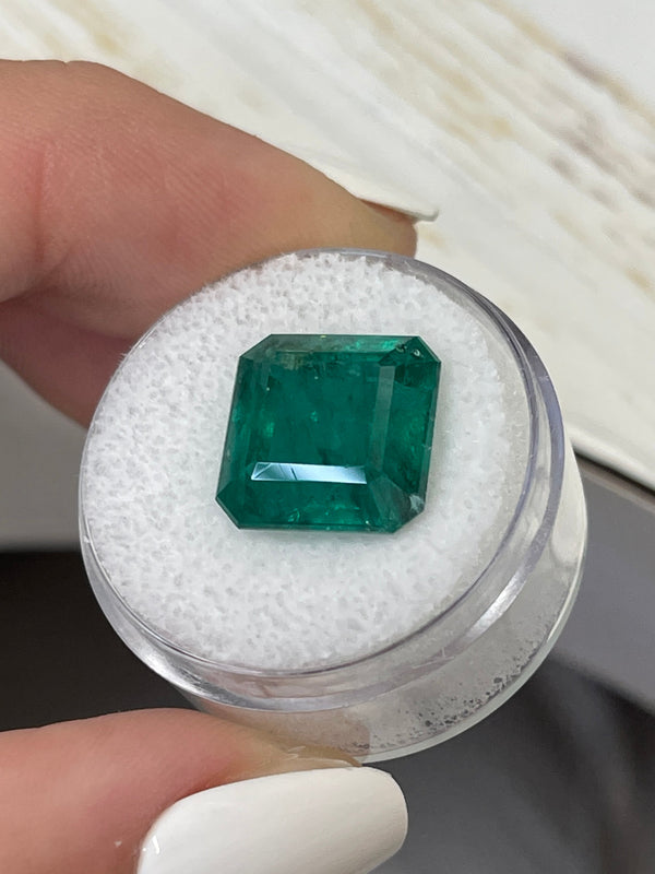 Large 10.01 Carat 12.5x12.5 Vivid Dark Green Natural Loose Zambian Emerald-Asscher Cut