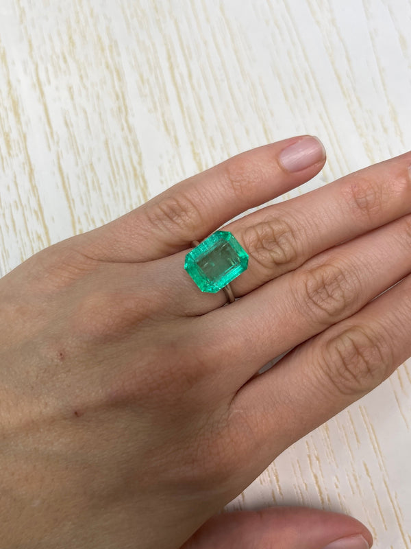 8.20 Carat 14x11.4 Medium Green Emerald Cut Loose Colombian Emerald-Emerald Cut