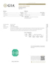 Large 10.81 Carat GIA Minor Oil 14x13 Vivid Muzo Natural Loose Colombian Emerald-Asscher Cut