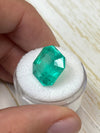 Large 13.46 Carat Minor Oil 14.5x14 Dark Green Natural Loose Colombian- Asscher Cut