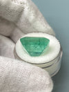 Large 17.64 Carat 17x14.5 Earthy Medium Loose Colombian Emerald- Emerald Cut